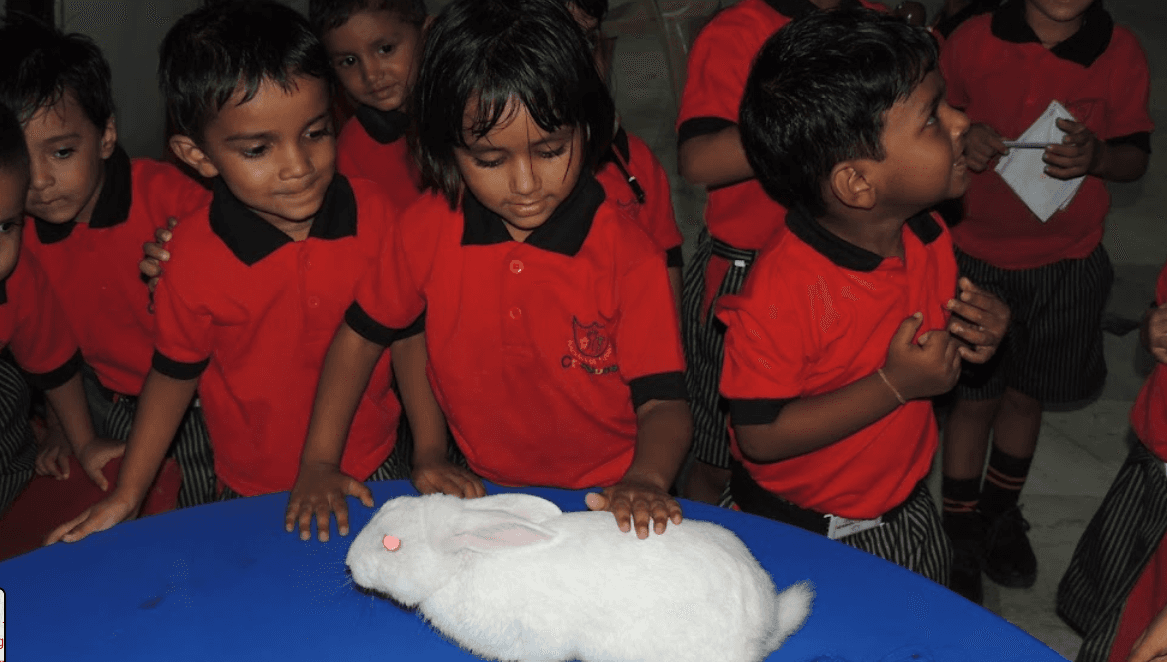 Crayons The Day Boarding School photo 2