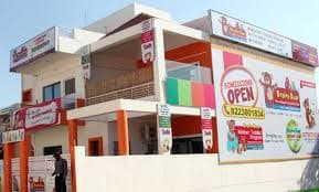 Brainy Bear Arera Colony photo 1