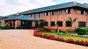 The Cathedral Vidya School photo 2