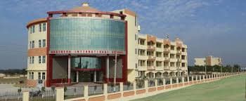 Northern International school Gurgaon photo 3