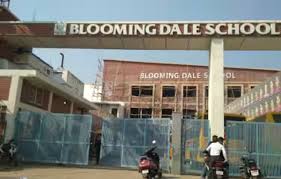 Bloomingdale School & Junior College photo 1