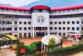 La Montessori School photo 4