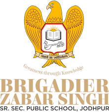 BZS School BZS School