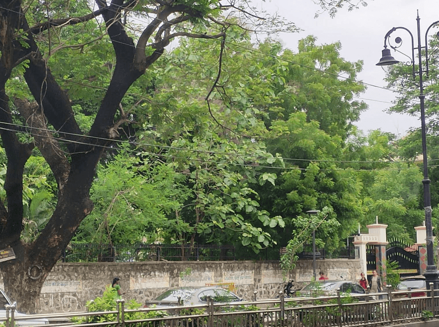 Holy Angels Anglo Indian Higher Secondary School photo 2