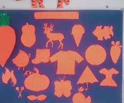 Broad Mind photo 1