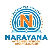 Narayana e-Techno School Mandur, Bangalore Narayana e-Techno School Mandur, Bangalore logo