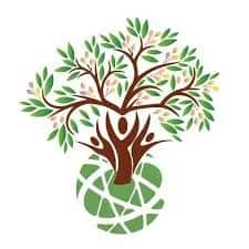 Olive Tree Global School Madavaram, Chennai Olive Tree Global School Madavaram, Chennai logo