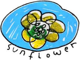 Sunflower Nursery School Malabar Hill Sunflower Nursery School Malabar Hill
