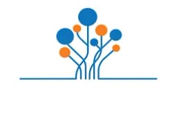 Mindseed Preschool Mindseed Preschool