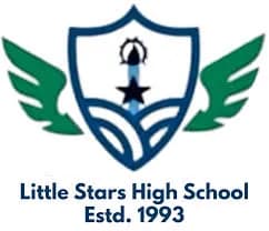 Little Stars High School, Moira Street, Kolkata Little Stars High School, Moira Street, Kolkata logo
