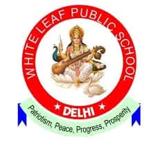White Leaf Public School, Bawana, delhi White Leaf Public School, Bawana, delhi logo