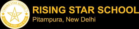 Rising Stars School, Dashrathpuri, Delhi Rising Stars School, Dashrathpuri, Delhi logo