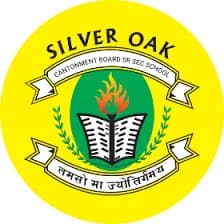 Silver Oak School, delhi Cantonment, delhi Silver Oak School, delhi Cantonment, delhi logo