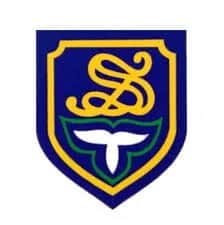The Study School, East Of Kailash, delhi The Study School, East Of Kailash, delhi logo