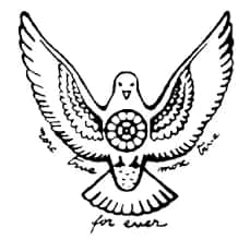 The Mother's International School The Mother's International School