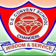 D.S. Convent School D.S. Convent School