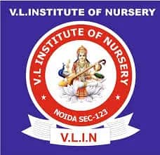 V L Institute Of Nursery, Sector 123, Noida V L Institute Of Nursery, Sector 123, Noida logo