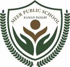 Meer Public School, Lodhi Estate, Delhi Meer Public School, Lodhi Estate, Delhi logo