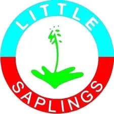 Little Saplings Playway School, Mandawali, Delhi Little Saplings Playway School, Mandawali, Delhi logo